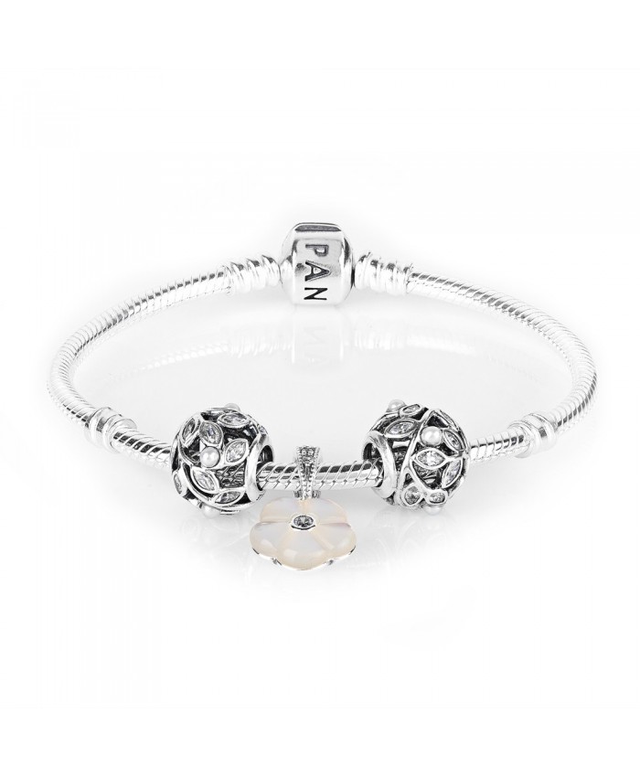 Pandora Luminous Floral Complete Bracelet Cb592