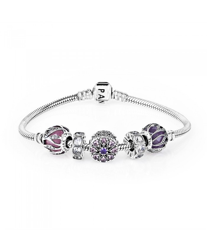 Pandora Shimmering Medallion Complete Bracelet Cb642
